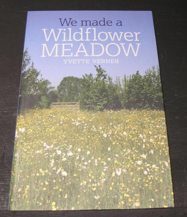 We Made a Wildflower Meadow.