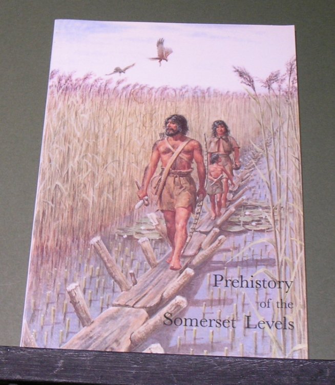 Prehistory of the Somerset Levels