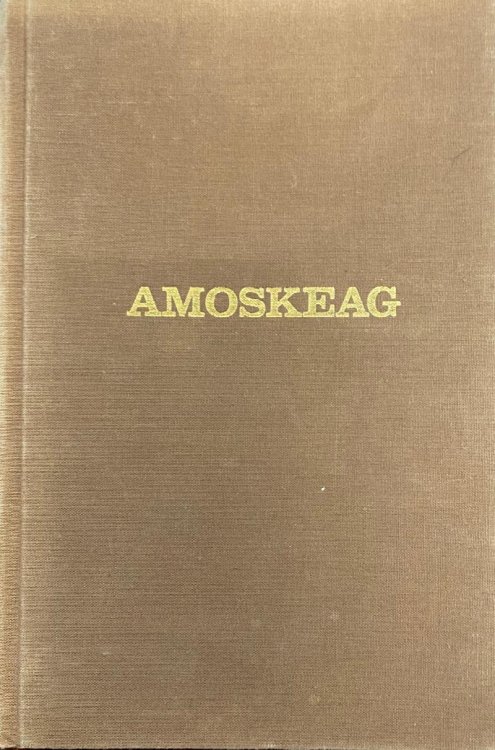 Image for Amoskeag: Life and work in an American factory-city in New England Amoskeag: Life and work in an American factory-city in New England