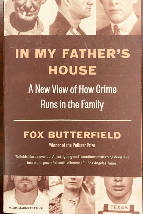 Image for In My Father's House: A New View of How Crime Runs in the Family In My Father's House: A New View of How Crime Runs in the Family