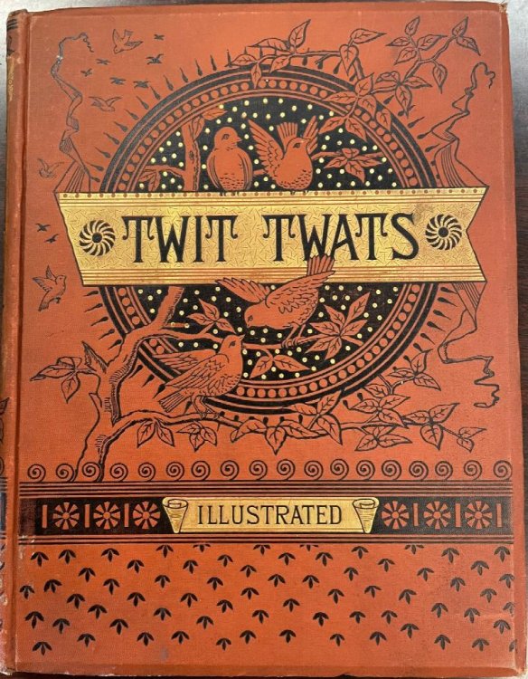 The Twit-Twats: A Christmas Allegorical Story of Birds - connected with the introduction of sparrows into the New World