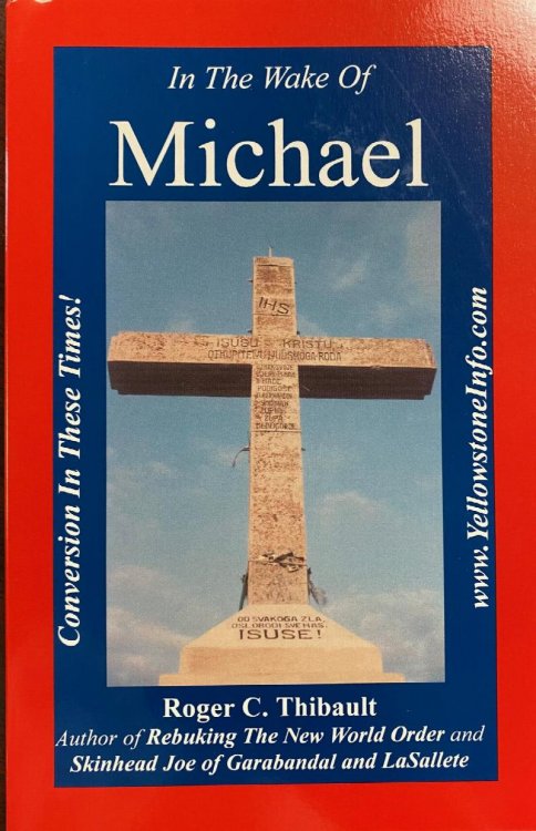 In the Wake of Michael