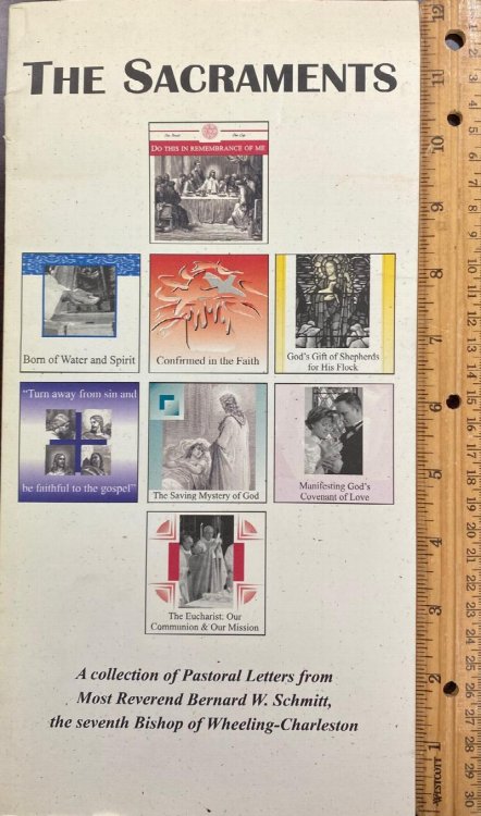 Image for The Sacraments. A Collection Of Pastoral Letters The Sacraments. A Collection Of Pastoral Letters