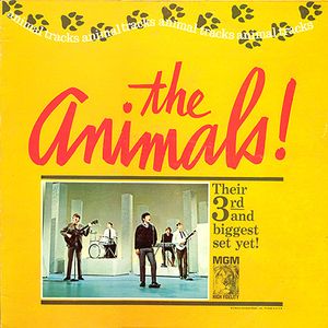 The Animals Animals