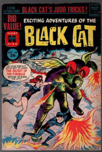 Black Cat #63