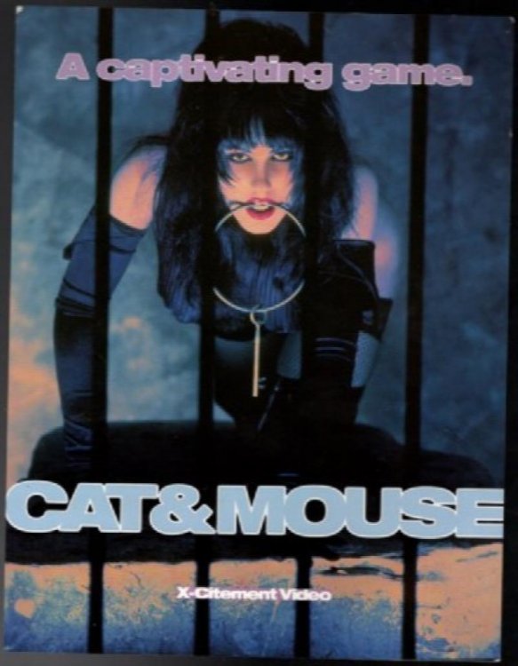 Cat and Mouse adult VHS promo page high gloss 2 sided.