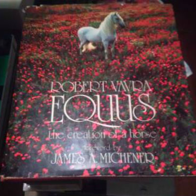 Equus: The Creation of a Horse