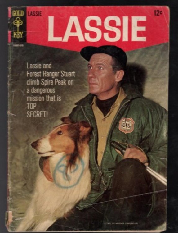 LASSIE #67 Gold Key 1965 Photo Cover! TV Tie-in!
