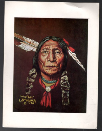 Wolf Robe High gloss color print