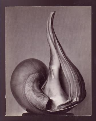 Image for EW:100 - Centennial Essays in Honor of Edward Weston EW:100 - Centennial Essays in Honor of Edward Weston