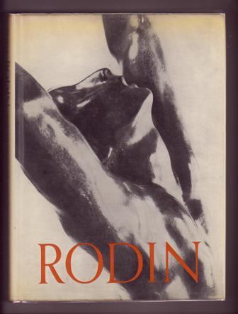 Image for Rodin Rodin