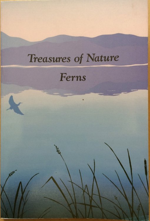 Image for Treasures of Nature - Ferns Treasures of Nature - Ferns
