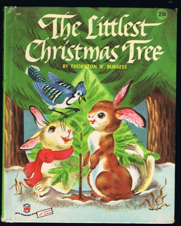 The Littlest Christmas Tree