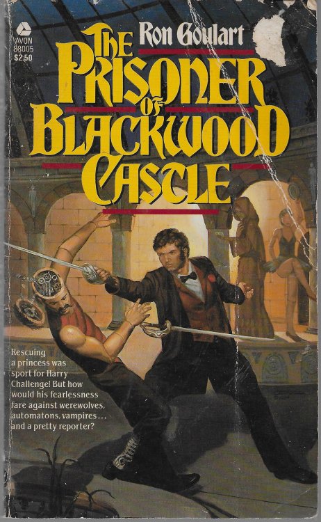 The Prisoner Of Blackwood Castle