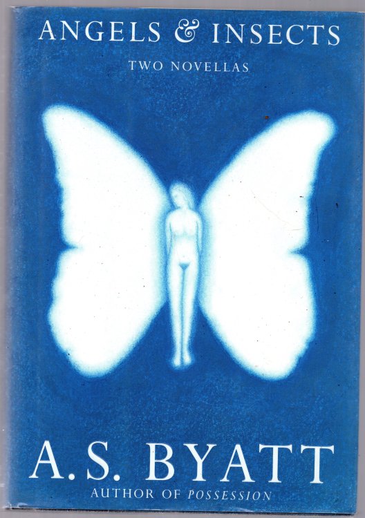 Angels & Insects