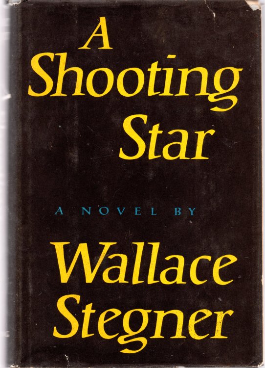 A Shooting Star