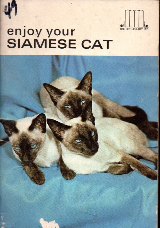 Enjoy Your Siamese Cat