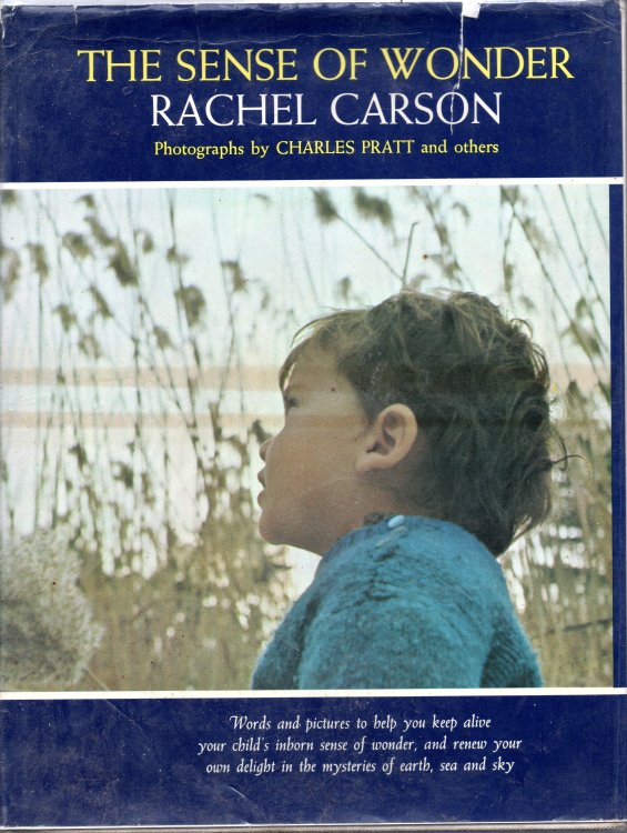 The Sense of Wonder
