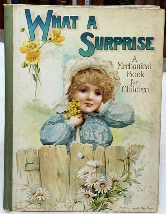 Image for What a Surprise: A Mechanical Book for Children What a Surprise: A Mechanical Book for Children
