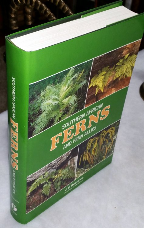 Image for Southern African Ferns and Fern Allies Southern African Ferns and Fern Allies