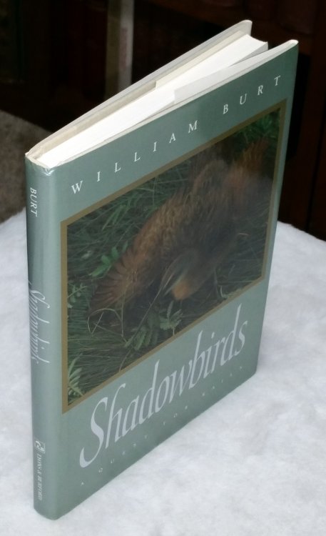 Image for Shadowbirds: A Quest for Rails Shadowbirds: A Quest for Rails