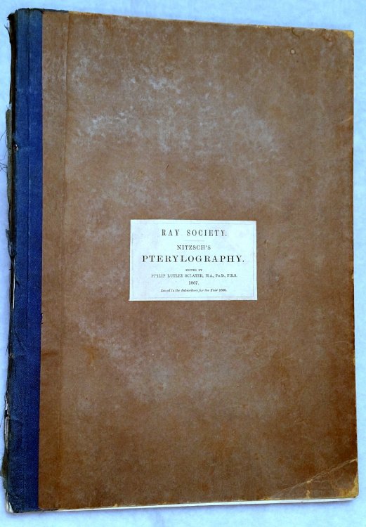 Image for Nitzsch's Pterylography, Translated from the German Nitzsch's Pterylography, Translated from the German