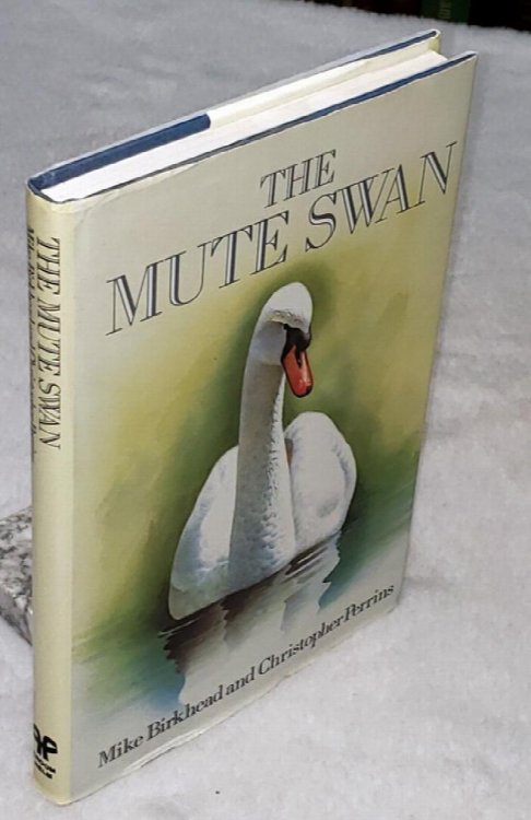 Image for The Mute Swan The Mute Swan
