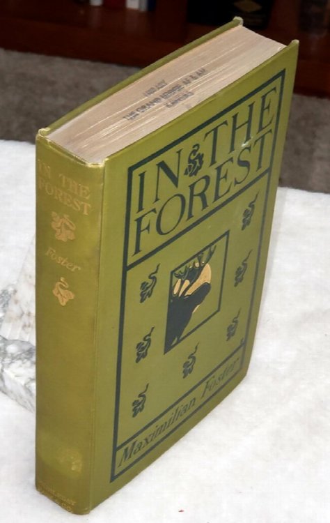 Image for In the Forest: Tales of Wood-Life In the Forest: Tales of Wood-Life