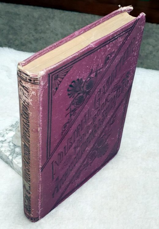 Image for Brown's Industrial Gazeteer and Hand-Book of the Atchison, Topeka & Santa Fe R. R. Brown's Industrial Gazeteer and Hand-Book of the Atchison, Topeka & Santa Fe R. R.