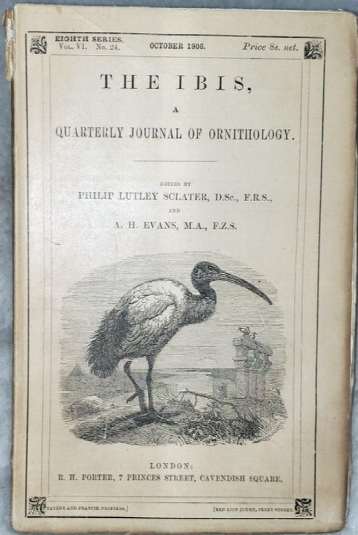 Image for The Ibis, A Quarterly Journal of Ornithology, Eighth Series, Vol. VI. No. 24. October 1906 The Ibis, A Quarterly Journal of Ornithology, Eighth Series, Vol. VI. No. 24. October 1906