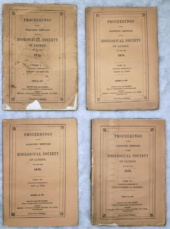 Proceedings of the Scientific Meetings of the Zoological Society of London for the Year 1878 (Complete In Four Parts)