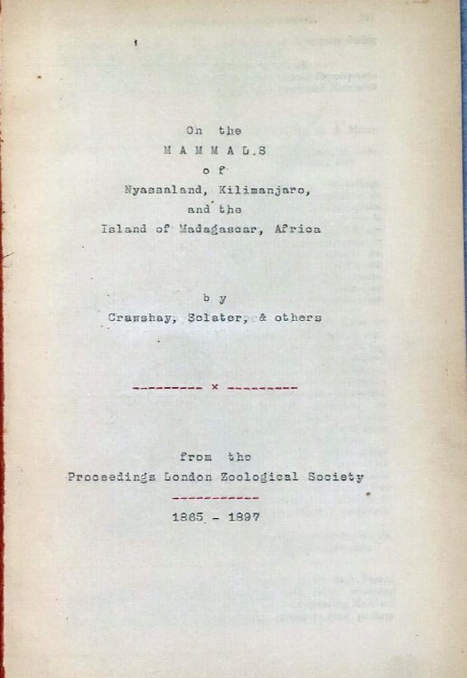 Image for On the Mammals of Nyasaaland, Kilimanjaro, and the Island of Madagascar, Africa On the Mammals of Nyasaaland, Kilimanjaro, and the Island of Madagascar, Africa