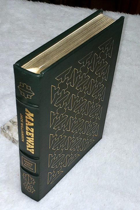 Image for Mazeway Mazeway