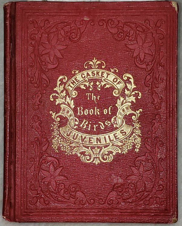 Image for The Book of Birds The Book of Birds