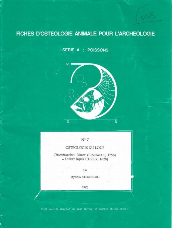 Image for Fiches d'osteologie animale pour l'archeologie. Serie A: Poissons. No. 7: Osteologie du loup. Dicentrarchus labrax (Linnaeus, 175 Labrax lupus Cuvier, 1828) Fiches d'osteologie animale pour l'archeologie. Serie A: Poissons. No. 7: Osteologie du loup. Dicentrarchus labrax (Linnaeus, 175 Labrax lupus Cuvier, 1828)