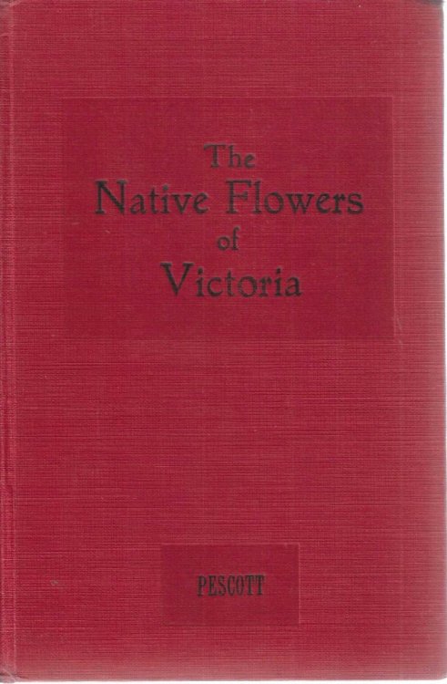 Image for The Native Flowers of Victoria The Native Flowers of Victoria