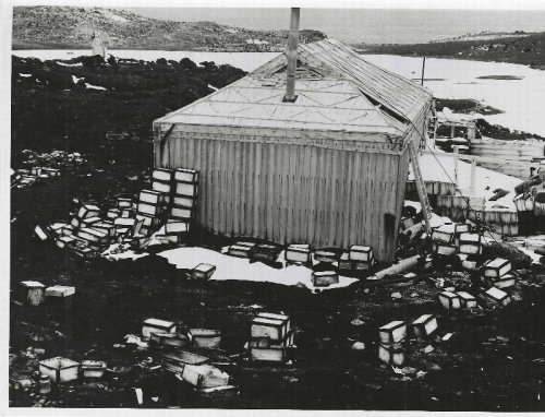 Silver gelatine photo of Shackleton's hut at Cape Royds [1950s]