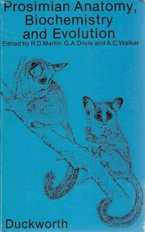 Image for Prosimian Anatomy, Biochemistry & Evolution. Prosimian Anatomy, Biochemistry & Evolution.