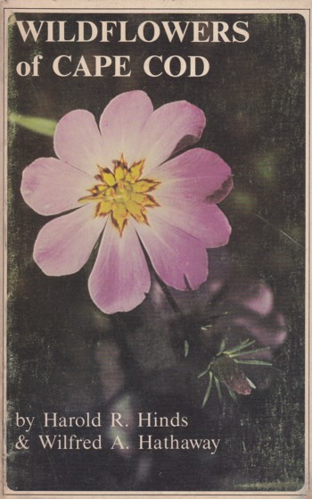 Wildflowers of Cape Cod