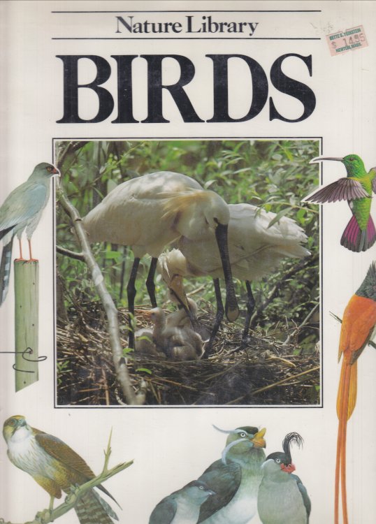Birds