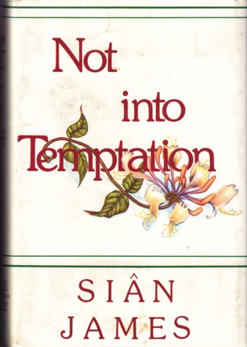 Image for Not Into Temptation Not Into Temptation
