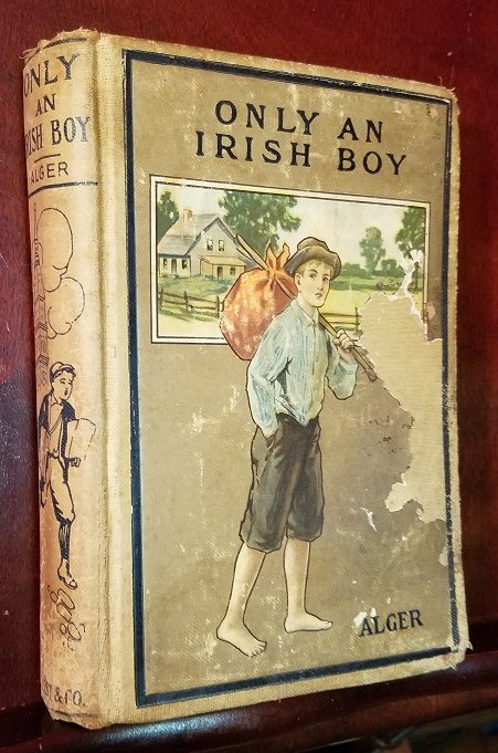 Only an Irish Boy; or, Andy Burke's Fortunes