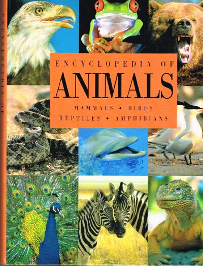 Image for Encyclopedia of Animals: Mammals, Birds, Reptiles, Amphibians Encyclopedia of Animals: Mammals, Birds, Reptiles, Amphibians