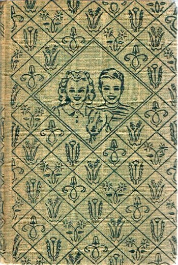 The Bobbsey Twins Treasure Hunting