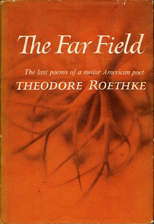 Image for The Far Field: The Last Poems of a Major American Poet The Far Field: The Last Poems of a Major American Poet