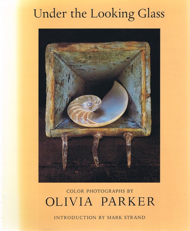 Image for Under the Looking Glass Under the Looking Glass