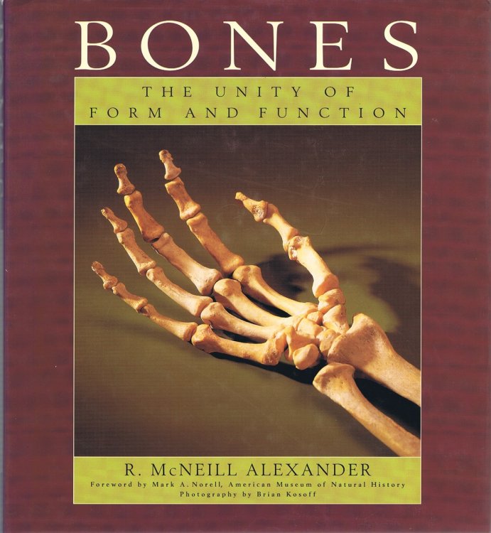 Image for Bones: The Unity of Form and Function Bones: The Unity of Form and Function