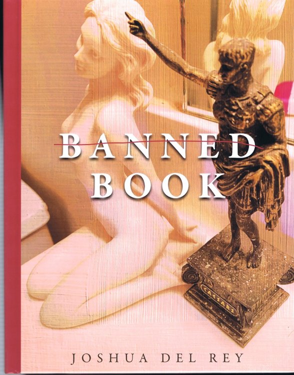 Image for Banned Book Banned Book