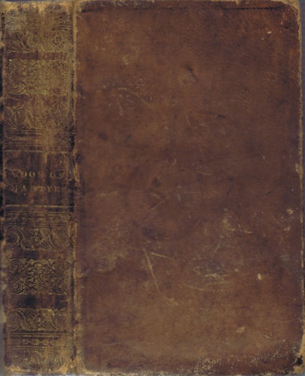 Book of Martyrs, or, A History of the Lives, Sufferings, and Triumphant Deaths of the Primitive and Protestant Martyrs, from the Introduction of Christianity, to the Latest Periods of Pagan, Popish, Protestant, and Infidel Persecutions