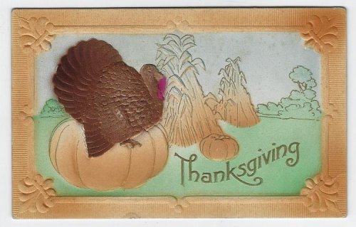 THANKSGIVING POSTCARD WITH PUFFY TURKEY ON PUMPKIN